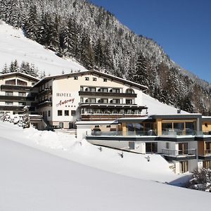 Hotel Antony